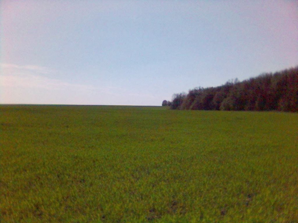 Yarmolyntsi