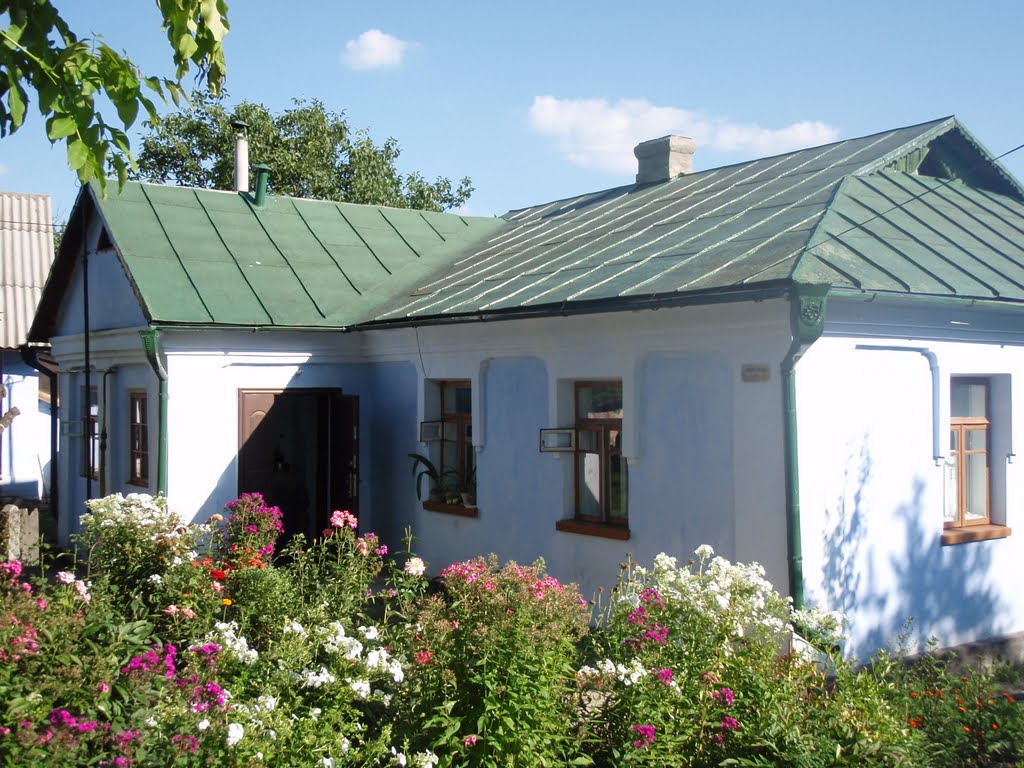 Старый дом / old house