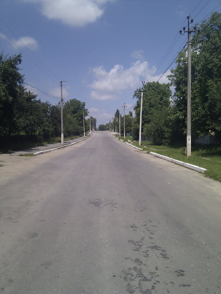 Дорога