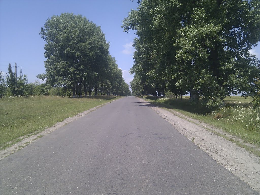 остання дорога