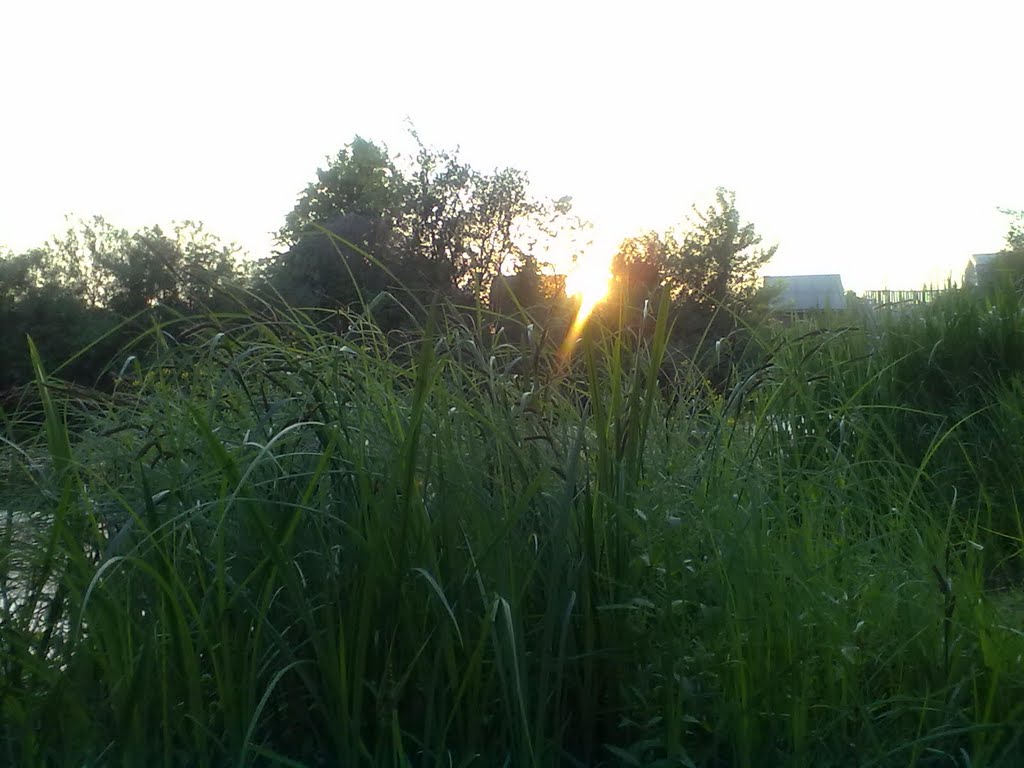 Сутінки над Горинню