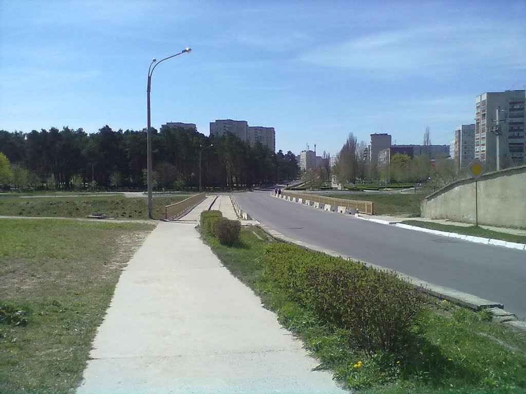Integral Bridge