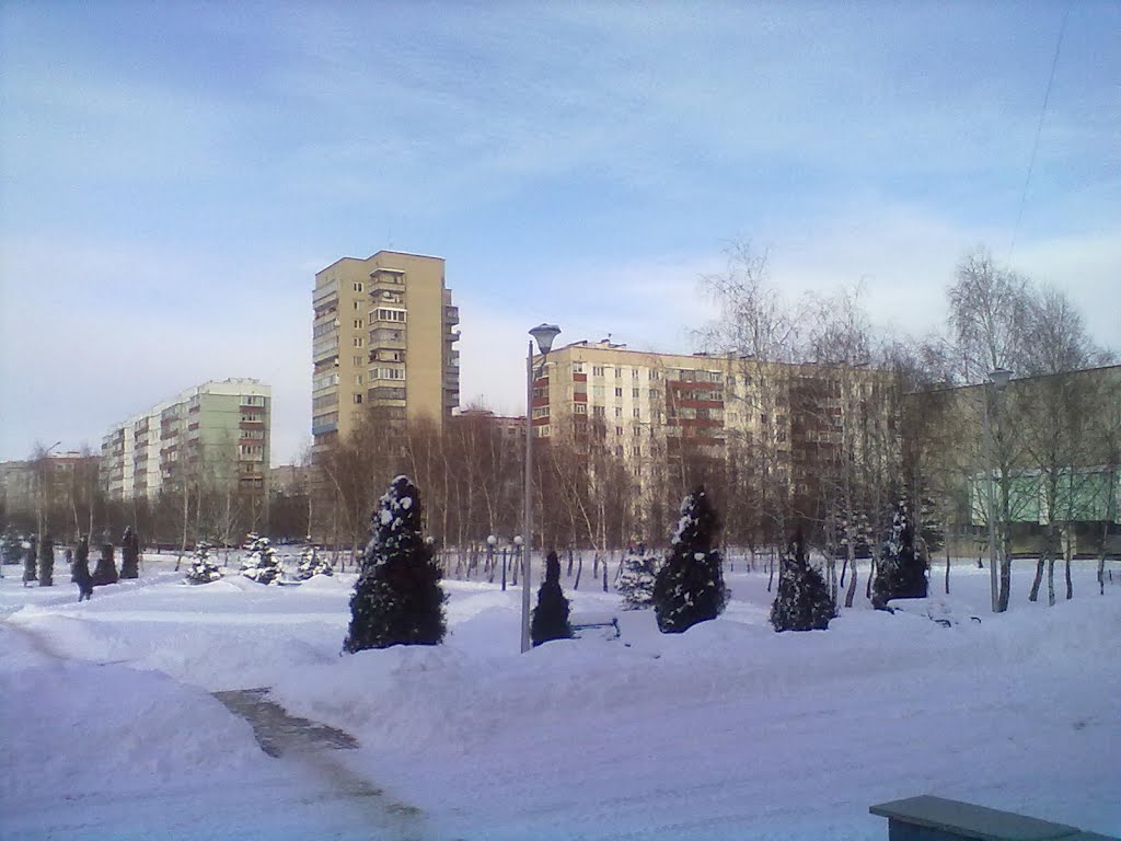 Winter 2012, Netishyn