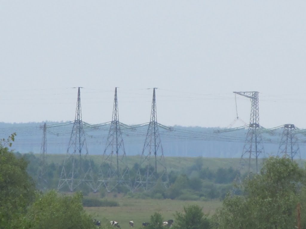 Індустріалізація