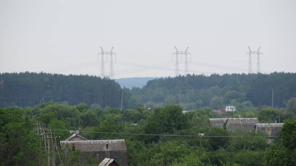 ліс