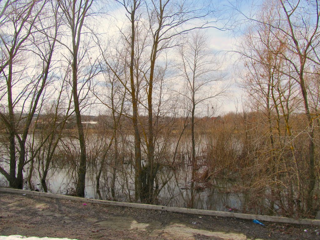 Горинь 2