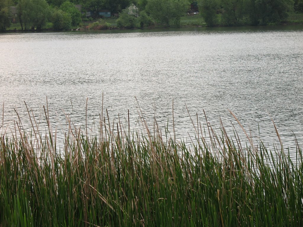 Гризлово