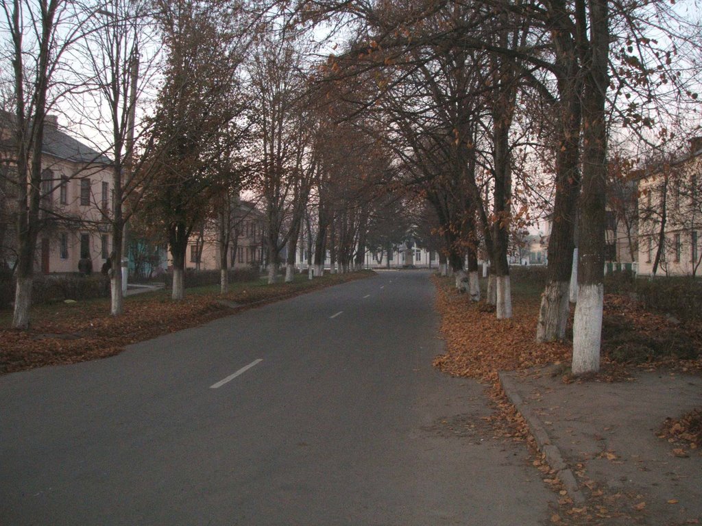 View to Railway Station of Bagachove