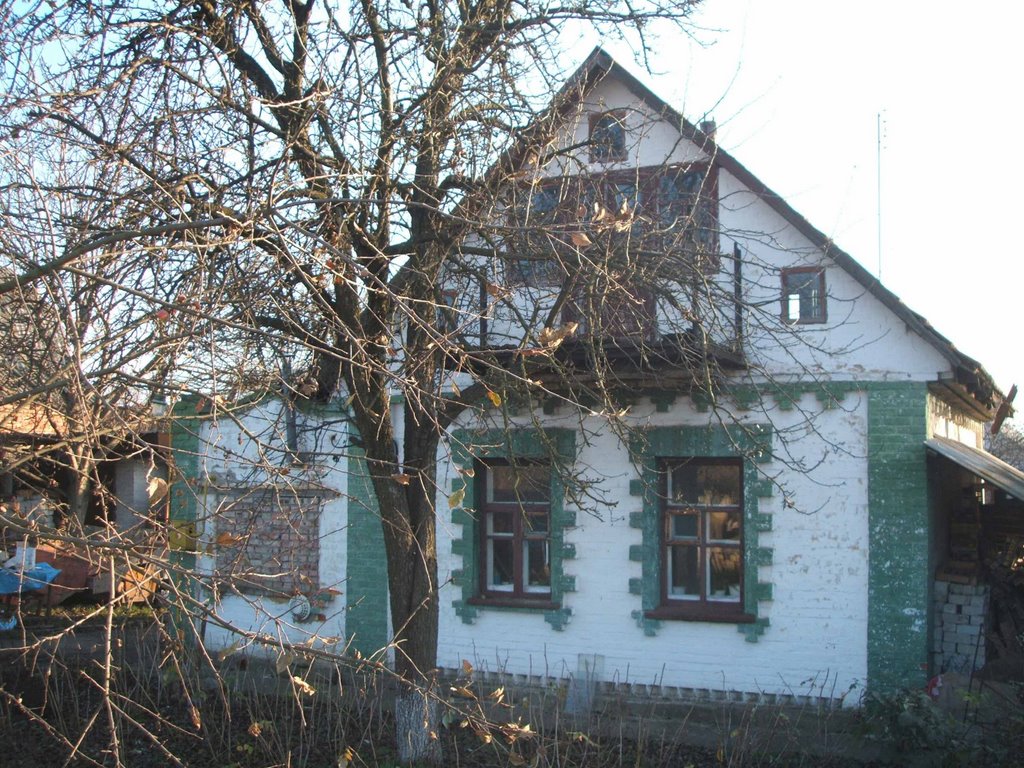 The Home