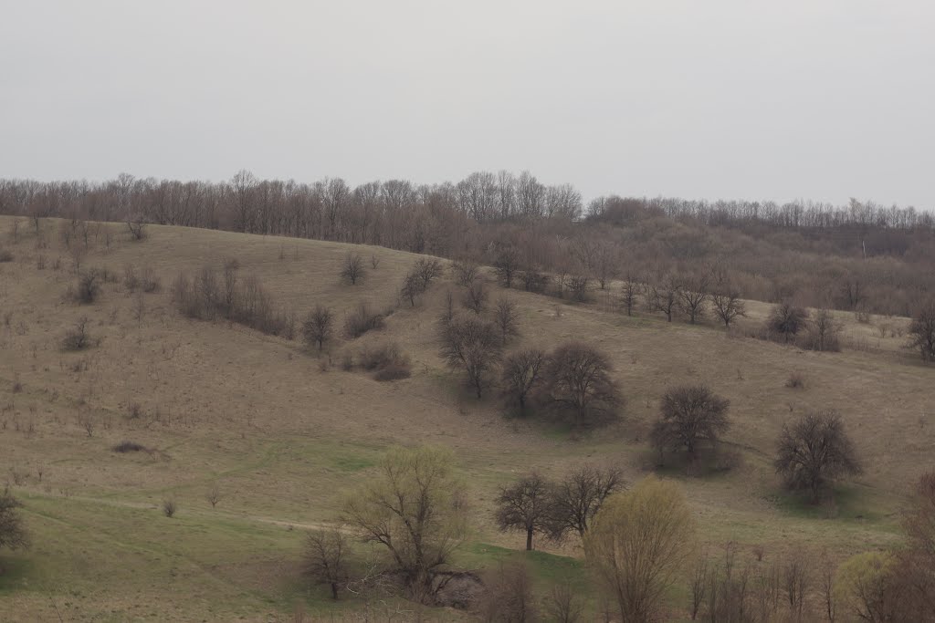 Юрківка