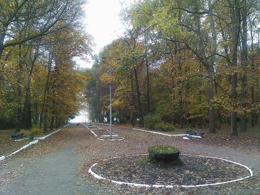 Алея