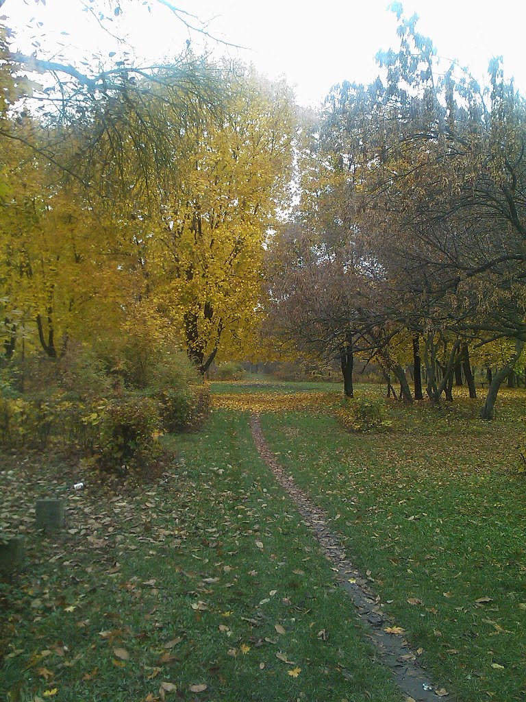 Тропка к карьеру