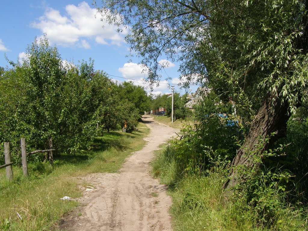 Ломоносова-Гончарна