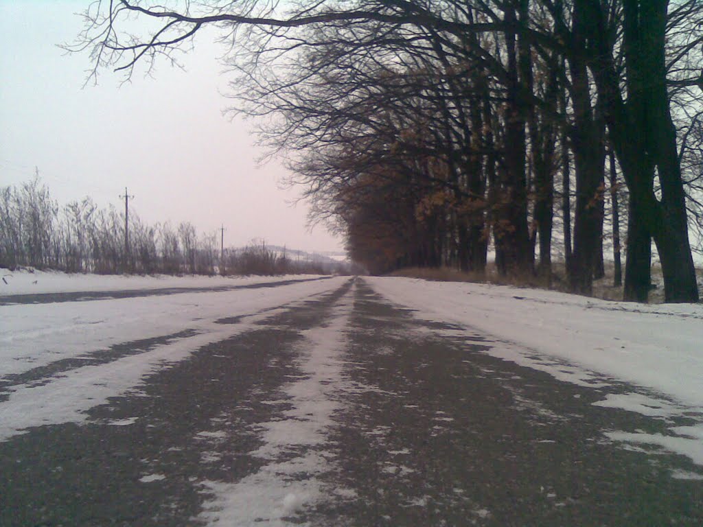 Дубки.