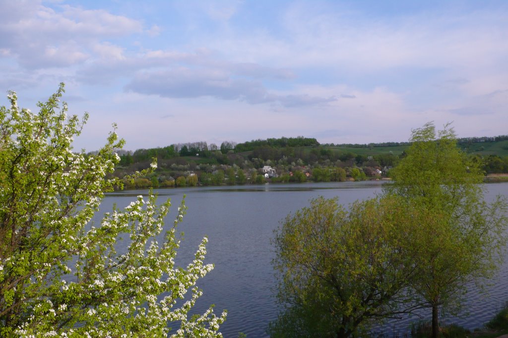Біля Шполки