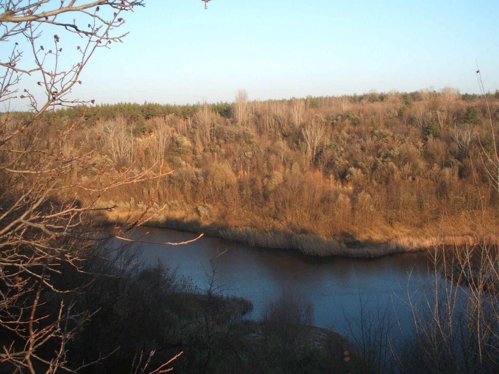 Auld quarry & forest