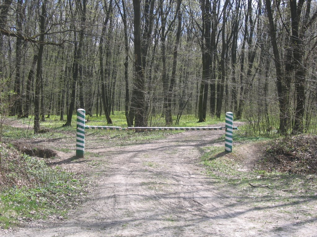 Шламбон