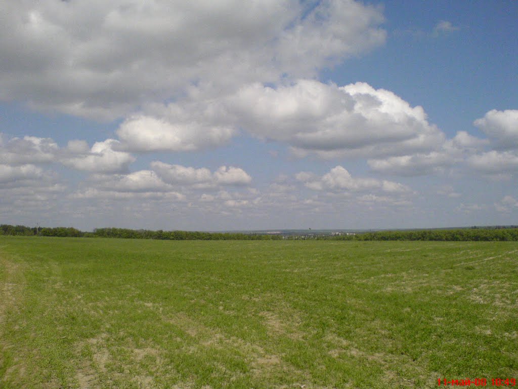 Zvenigorodskoe nebo