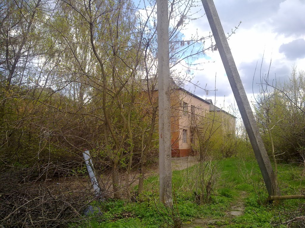 Старый детсадик. Давно не работает, разваливается.
