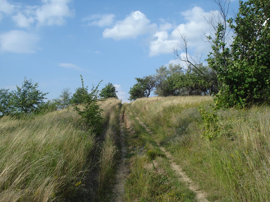 Дорога