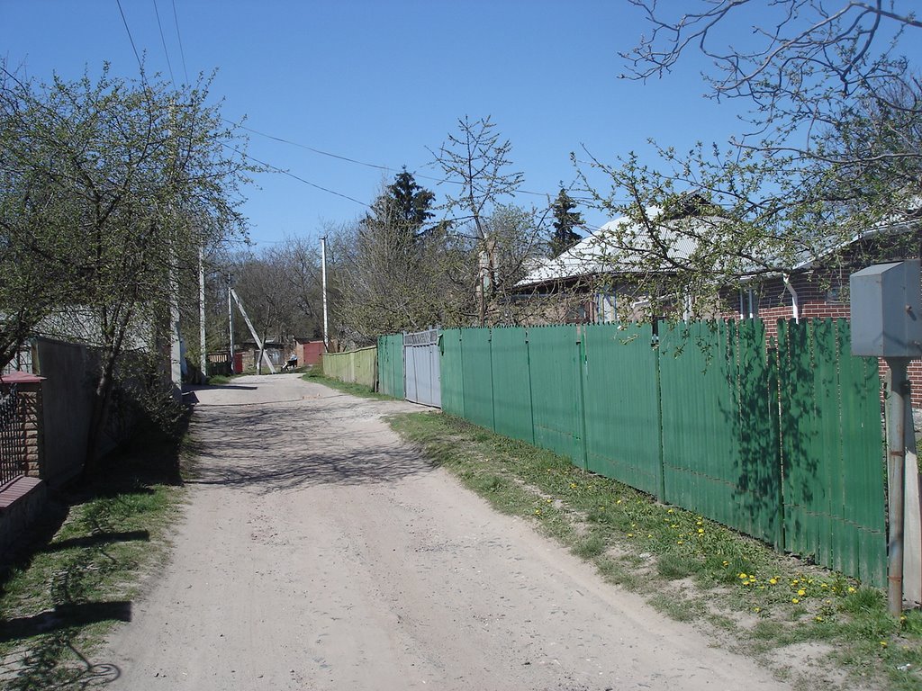 Pirogova Street