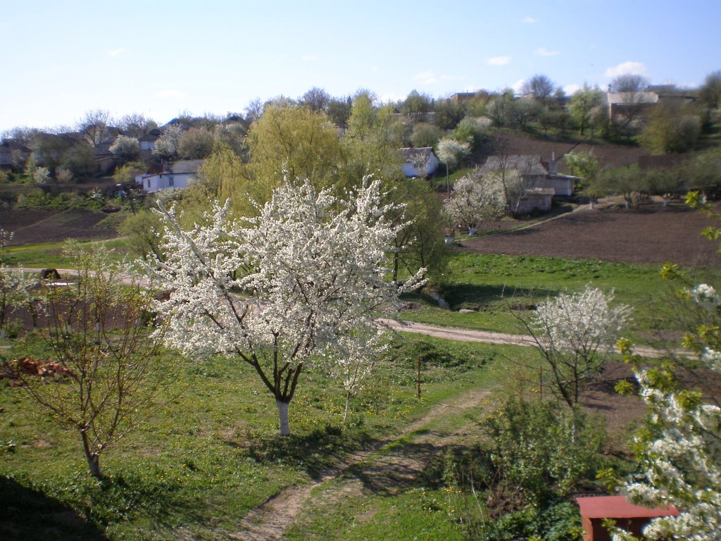 Ул, Луговая 2007