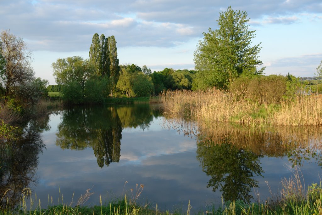 summer evening near Zhashkov, Ukraine