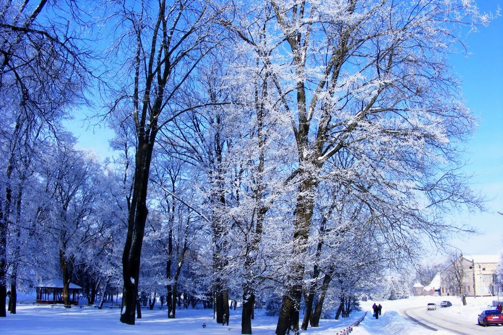 Городской парк