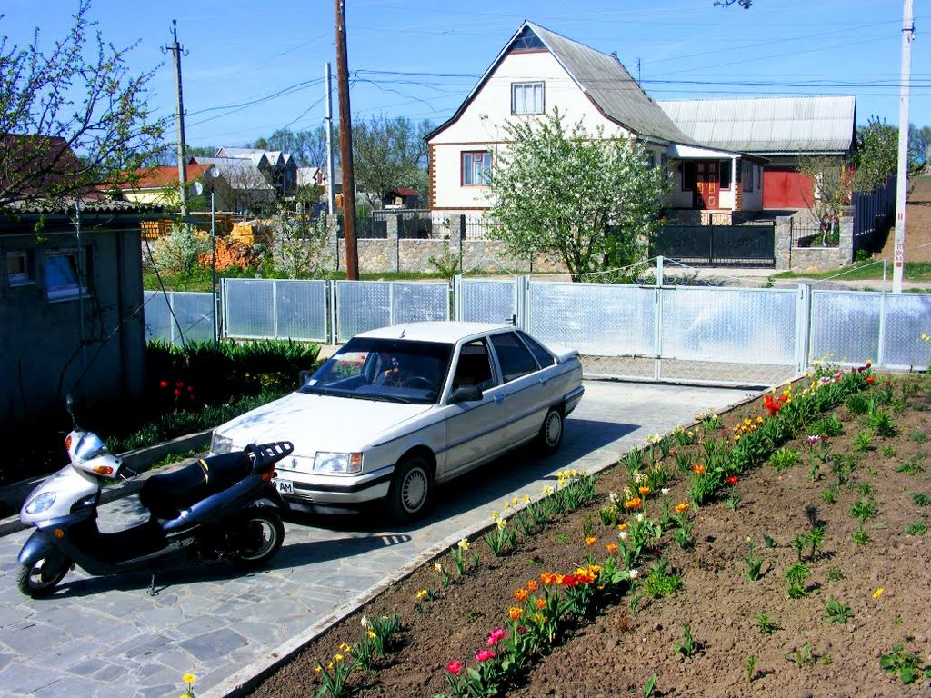 The spring has come and on our street!