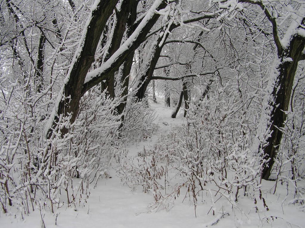 Зима