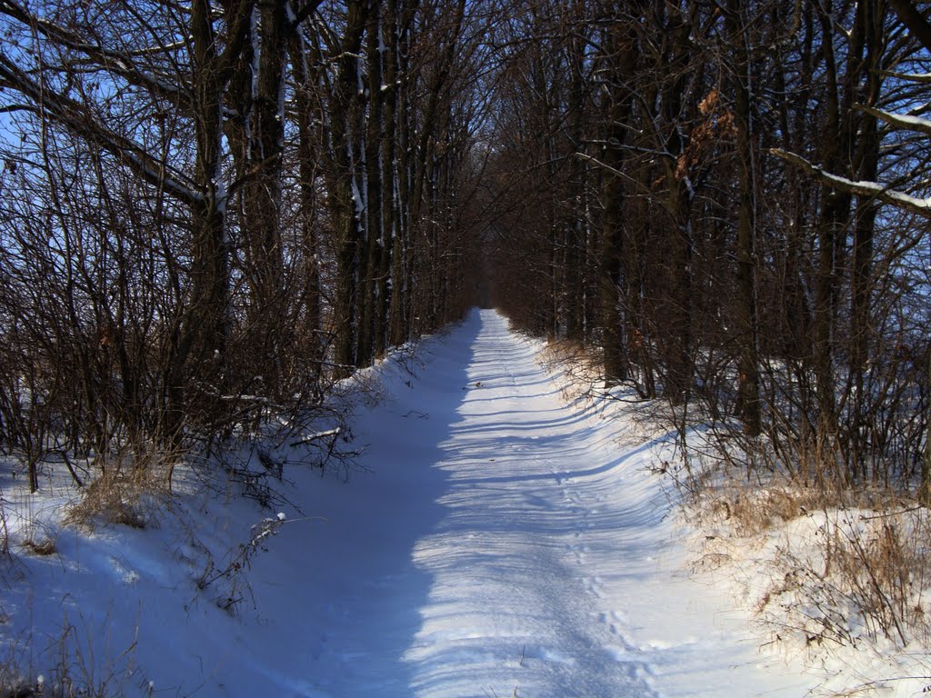 Дорога