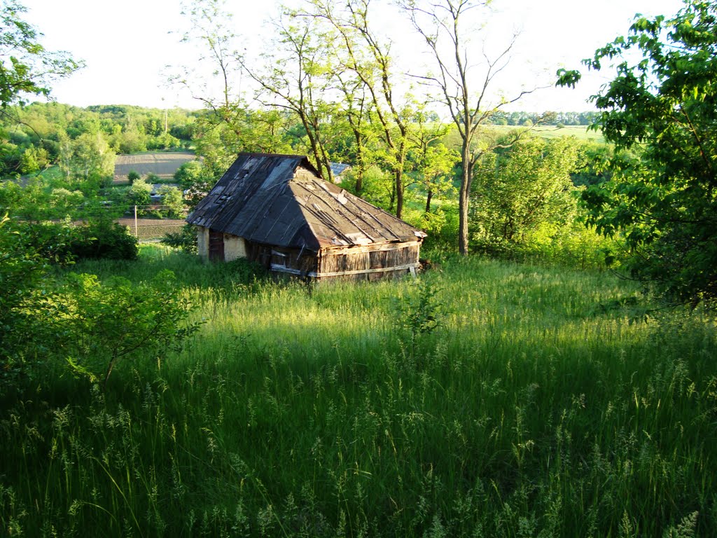 Старый дом