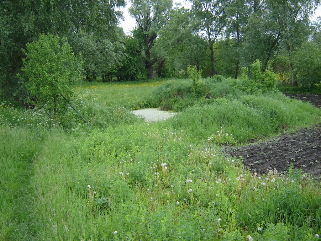 Вербивка, прудик