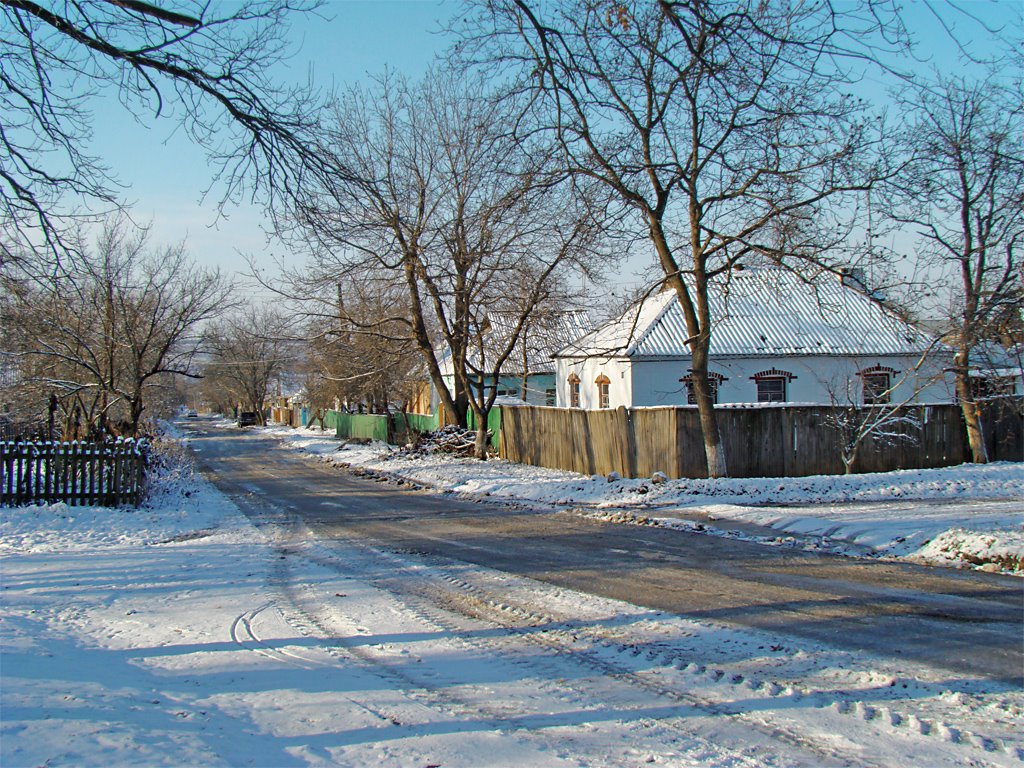 Зимова вулиця | Winter Street