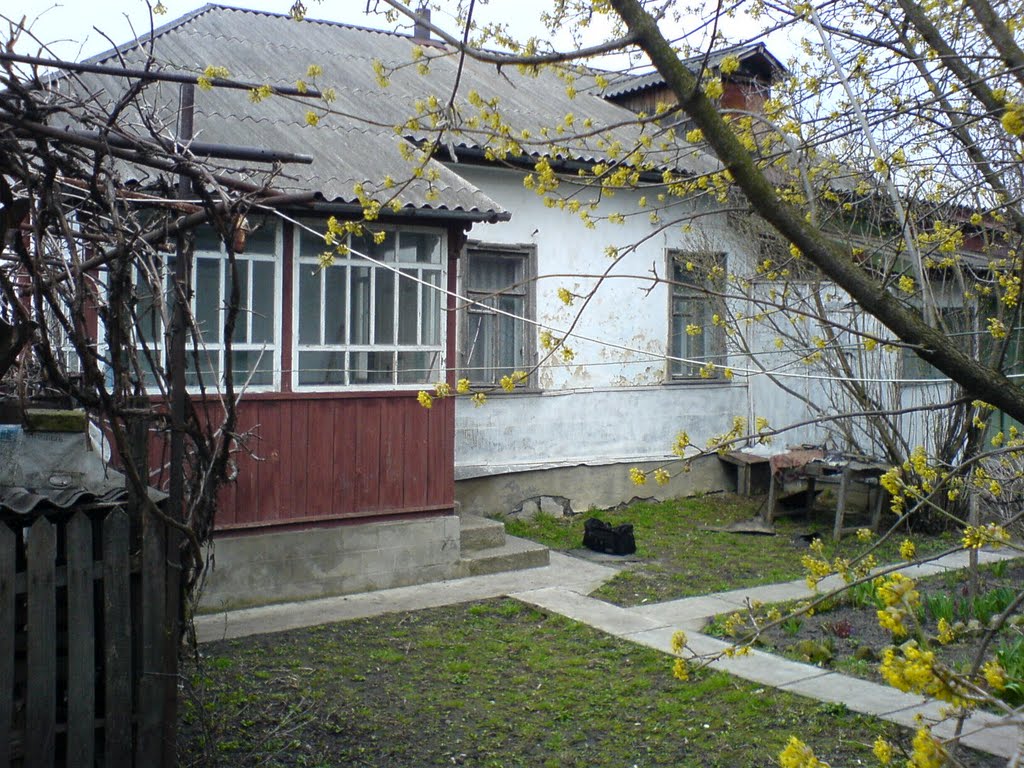 Zvenigorodka, Engelysa,157