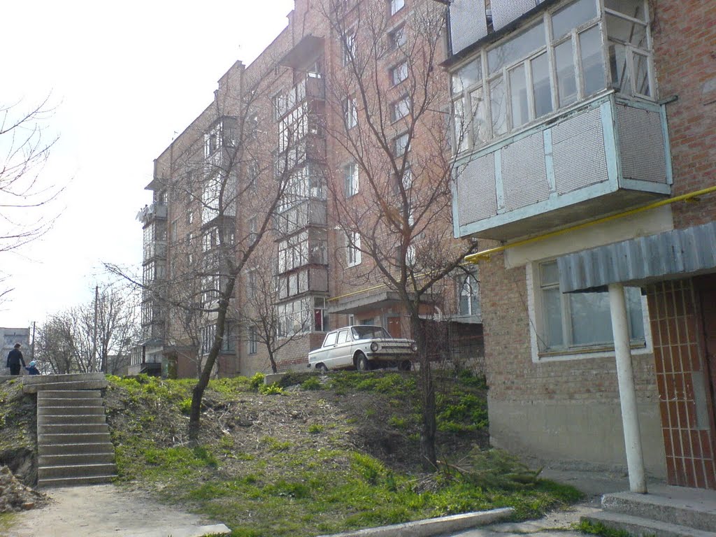 Zvenigorodka, dom na holme