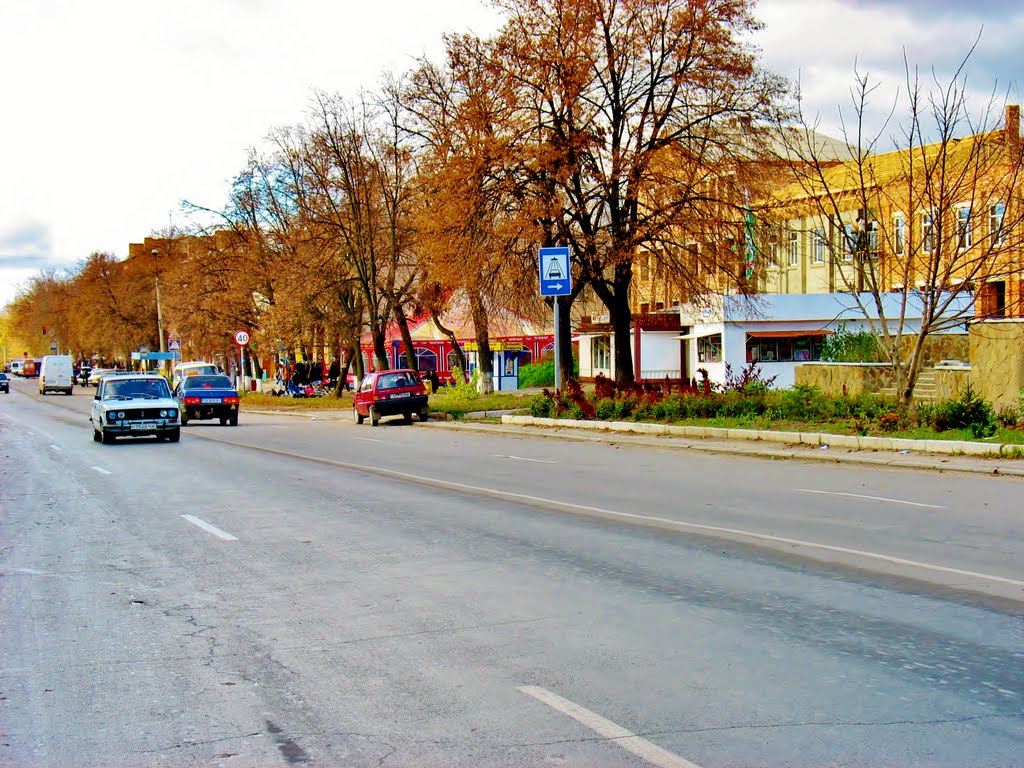 03.11.2007 13:39 Проспект Шевченка. Вид в сторону Дома культуры.
