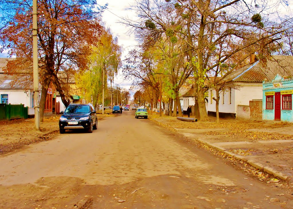 03.11.2007 15:07 Улица Черновола.