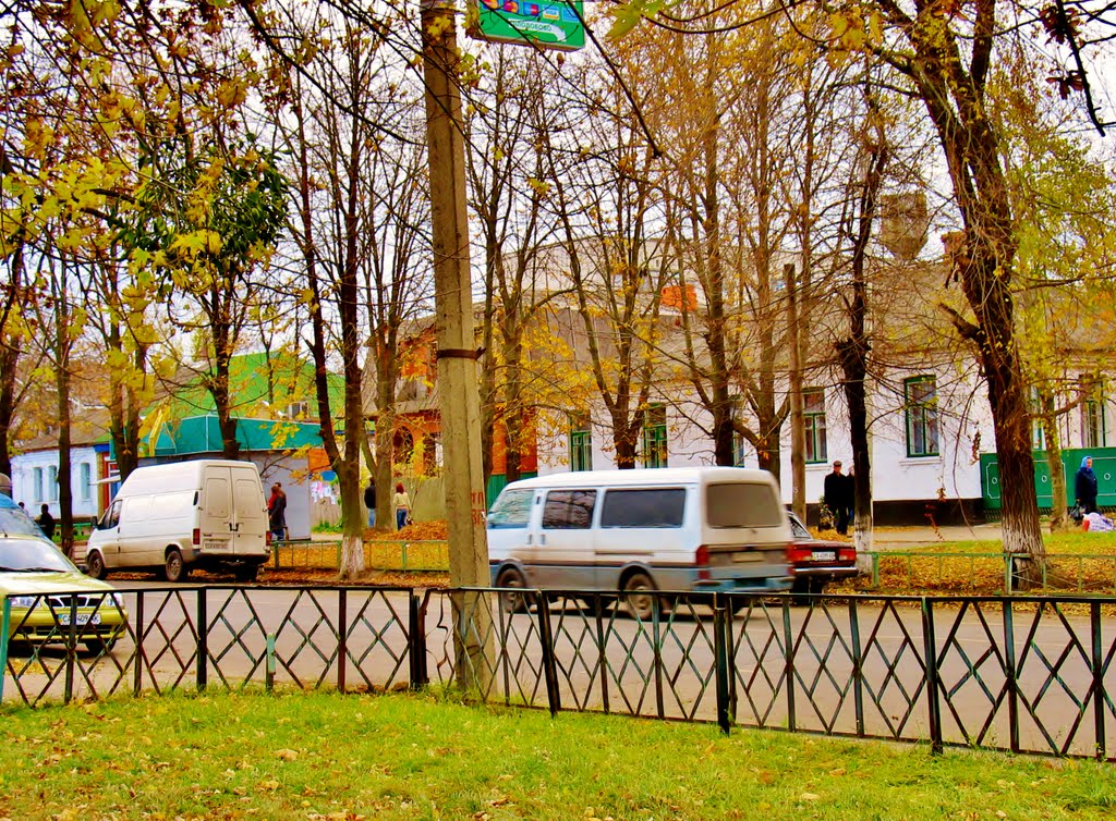 04.11.2007 12:00  По проспекту Шевченка.