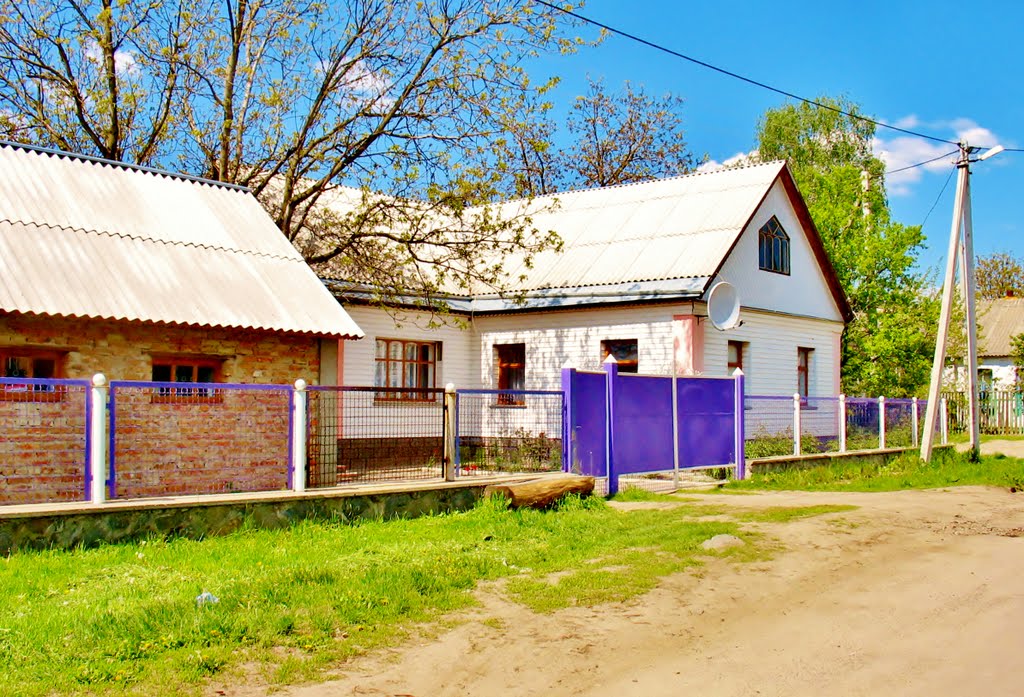 09.05.2008  12:53  По улице Кирова.