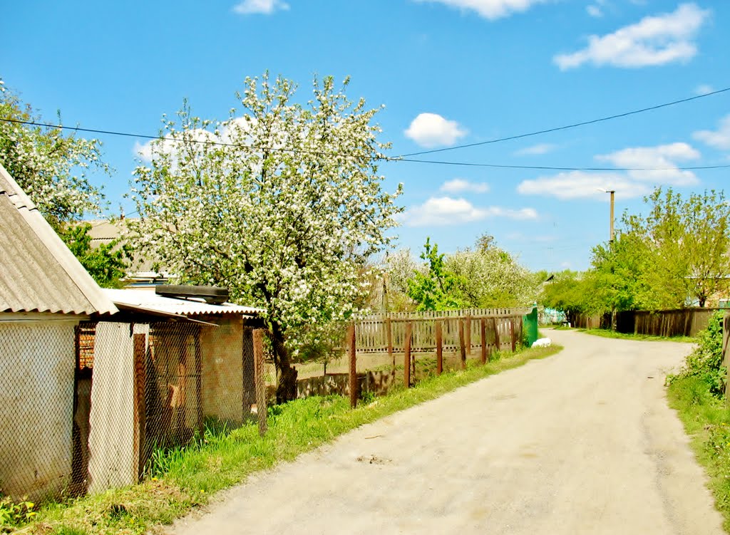 09.05.2008  12:54  Ул.Кирова.
