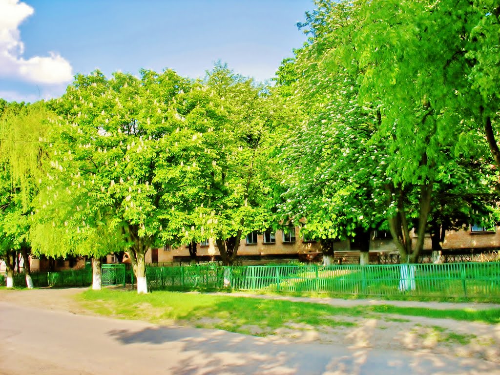 09.05.2008  16:14  Техникум маслосыроделов.