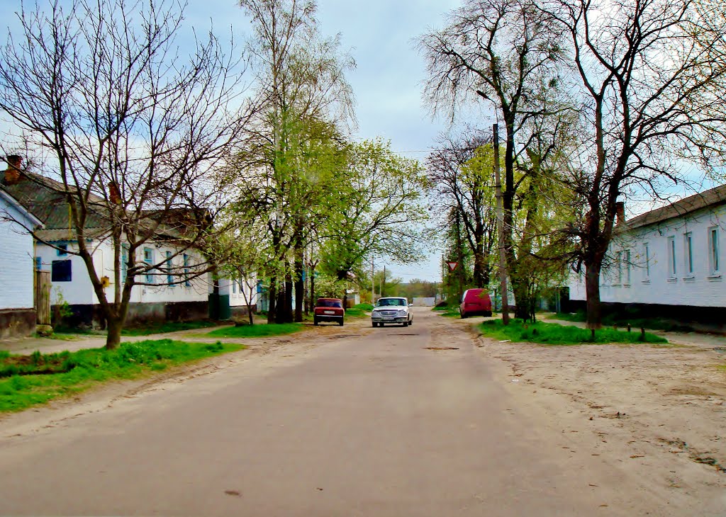 24.04.2012 15:32  Улица Энгельса перед пересечением с улицей Дружбы.