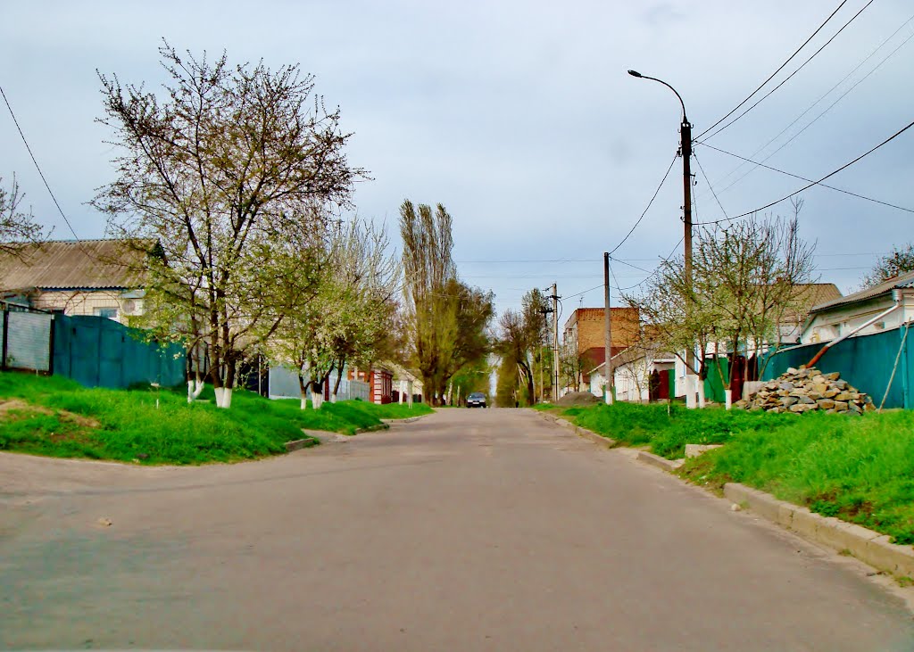 24.04.2012 15:33  По улице Коминтерна.