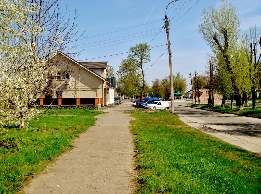25.04.2012 10:40  Бульвар Шевченко. Вид в сторону проспекта Тараса Шевченко.