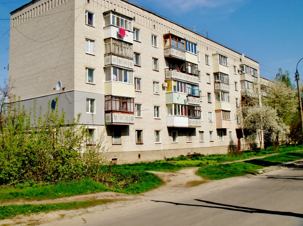 25.04.2012 10:42  Бульвар Шевченко. Фронтальная часть дома.