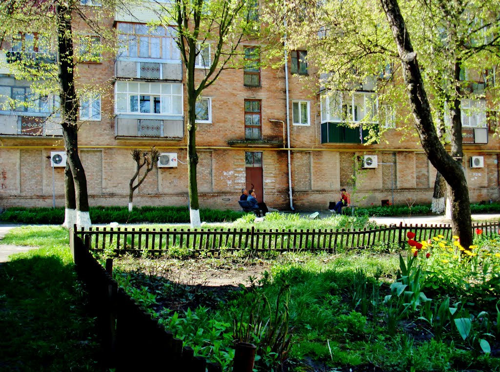 25.04.2012 11:39  Проспект Тараса Шевченко. Пятиэтажный кирпичный дом. Вид с внутреннего двора.