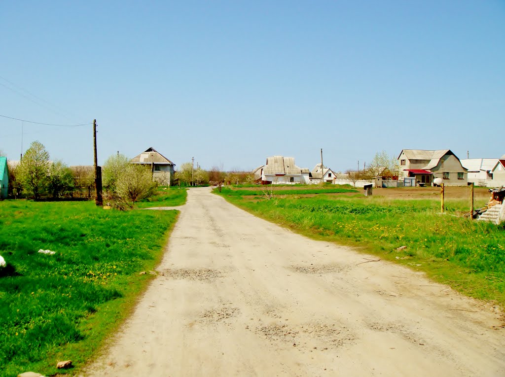 26.04.2012 11:57  Вид с улицы лейтенанта Хохлова в направлении улицы Черняховского.  Поворот налево улица бандуриста Варченка.