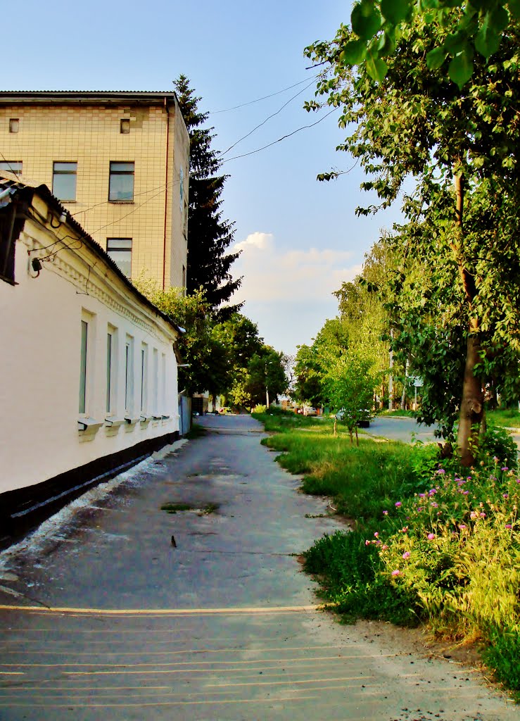 10.06.2012 18:53  г.Звенигородка. Микрорайон Берёзки. Улица Комминтерна, 41.