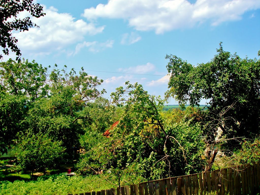14.06.2012 13:01  г.Звенигородка. Микрорайон Пискы. Вид на подворья улицы Песчаной с территории центральной районной больницы.